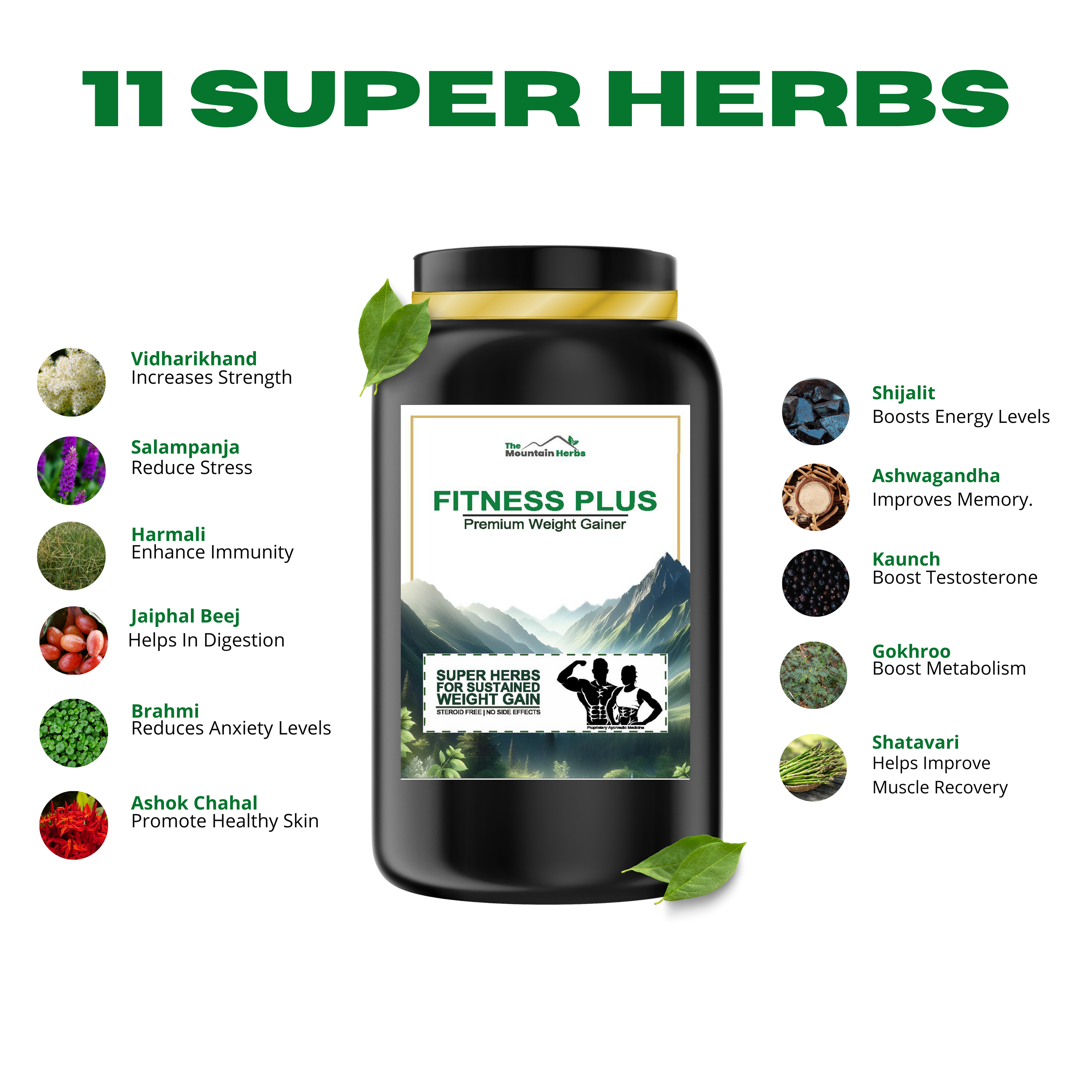 Fitness Plus Premium Weight Gainer The Mountain Herbs