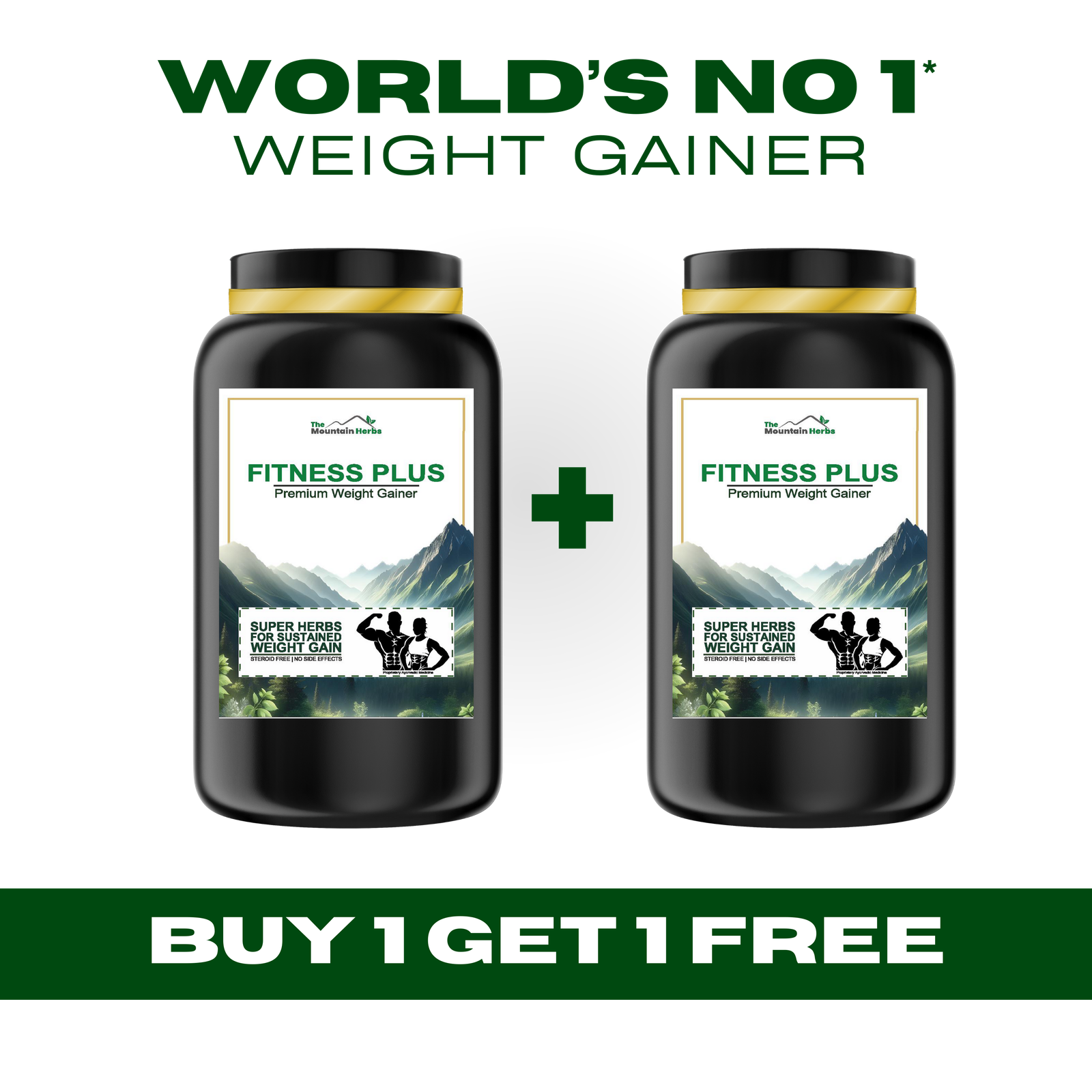 Fitness Plus Premium Weight Gainer The Mountain Herbs