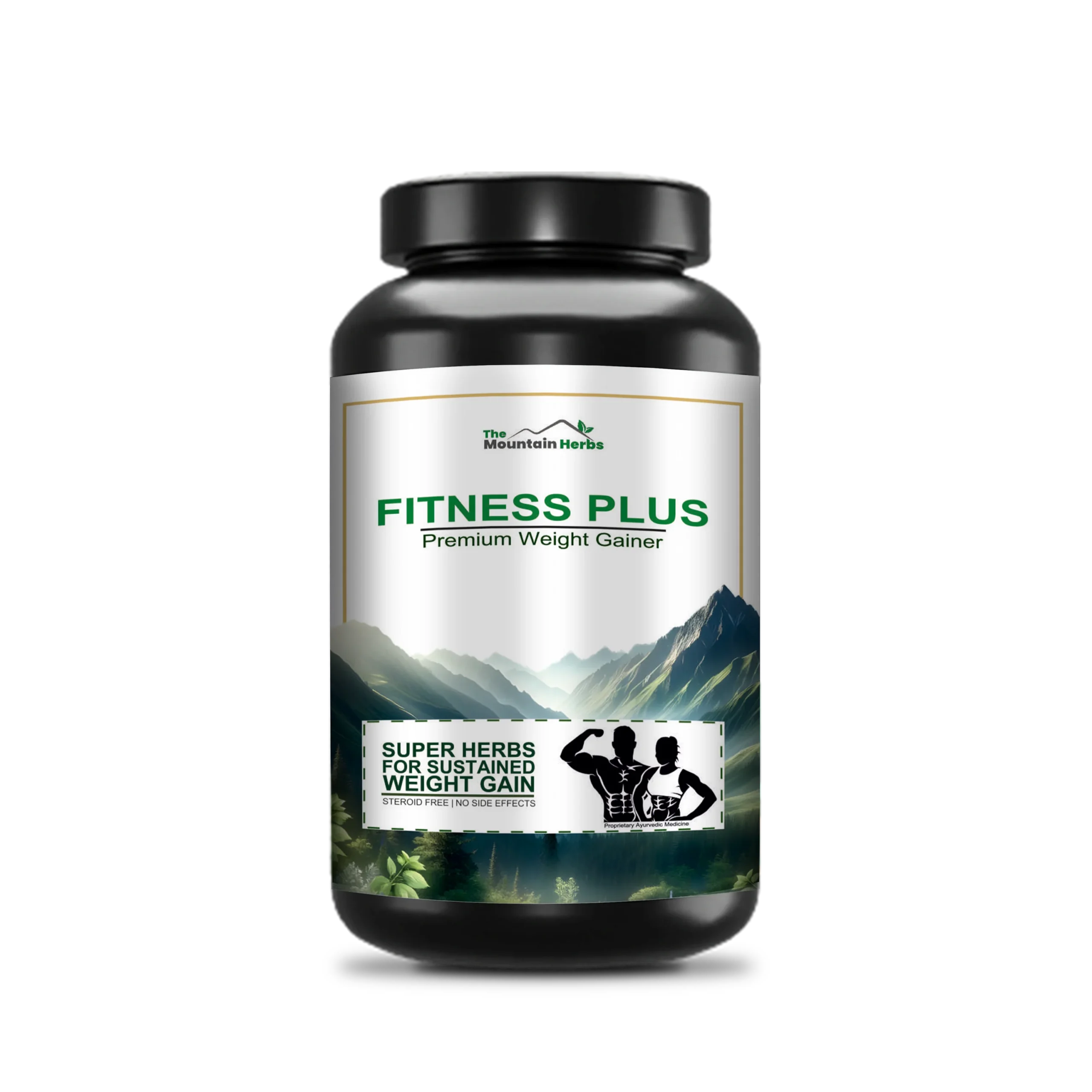 Fitness Plus Premium Weight Gainer 13 - The Mountain Herbs