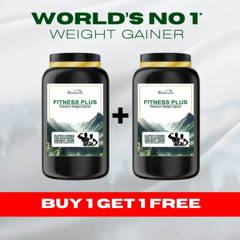 01 FITNESS PLUS WEIGHT GAINER Buy 1 Get 1 Free - The Mountain Herbs