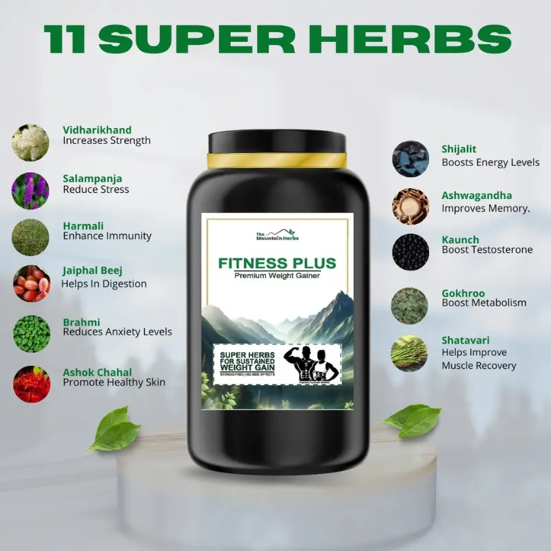 04 FITNESS PLUS WEIGHT GAINER THE MOUNTAIN HERBS - The Mountain Herbs