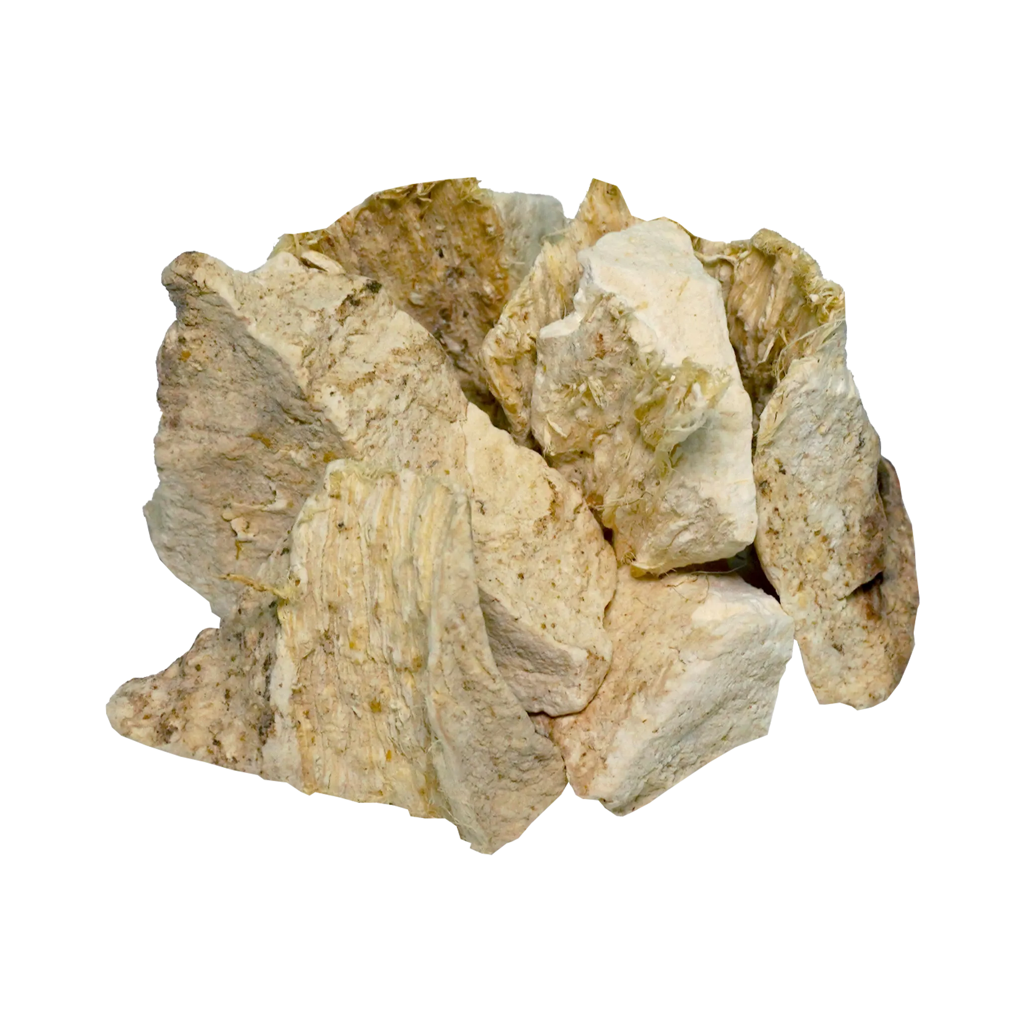 Pueraria Tuberosa - The Mountain Herbs