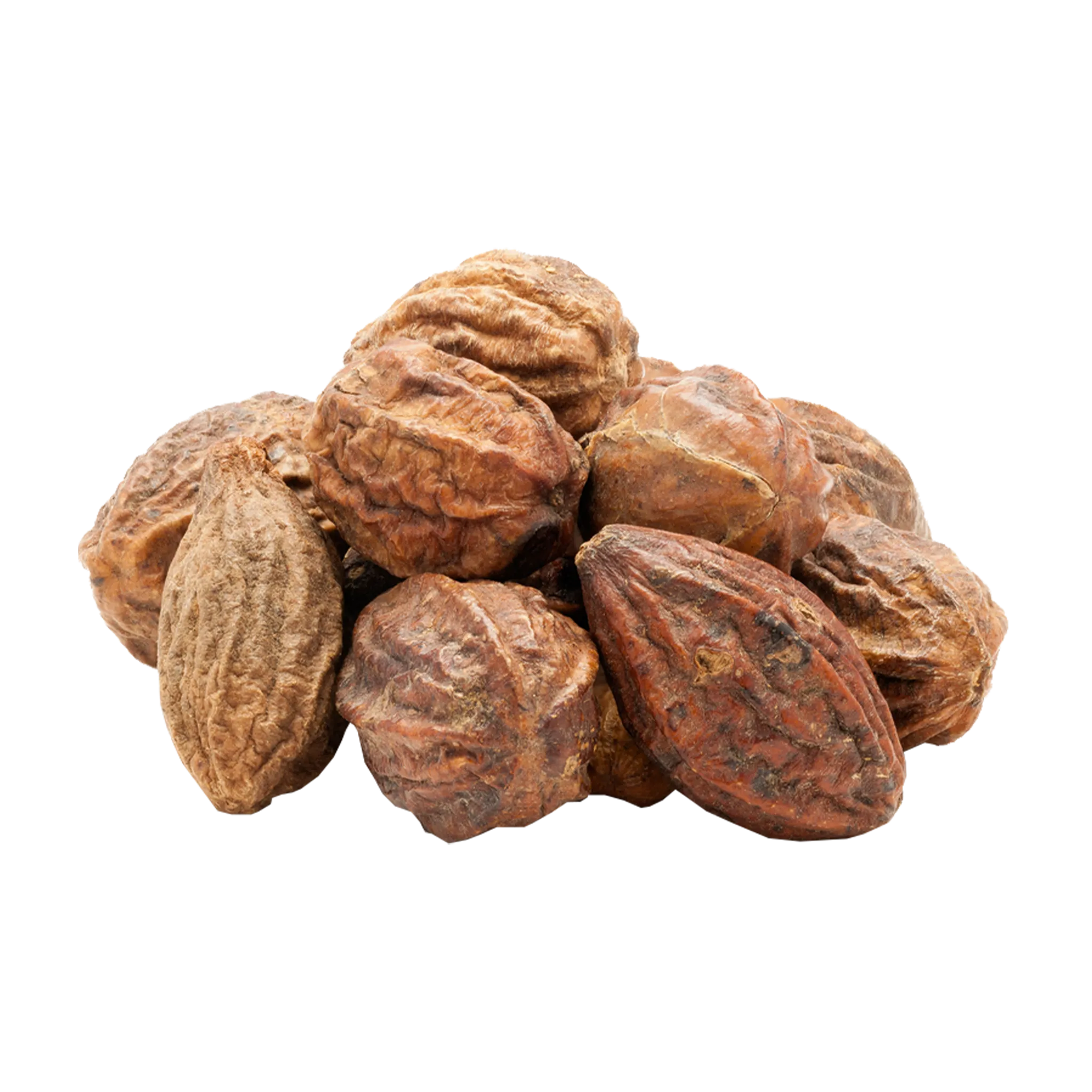 Terminalia Chebula - The Mountain Herbs